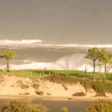 Mima's House - La Casa De Mima