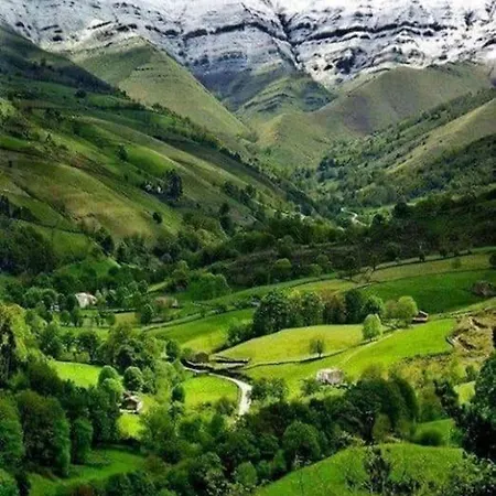 Mima's House - La Casa De Mima 別荘 コミージャス