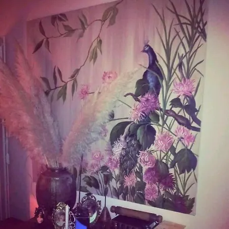 Mima's House - La Casa De Mima 別荘