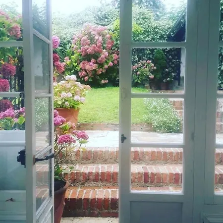 Mima's House - La Casa De Mima *