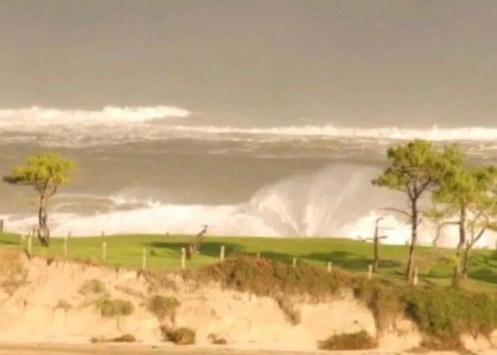 Mima's House - La Casa De Mima