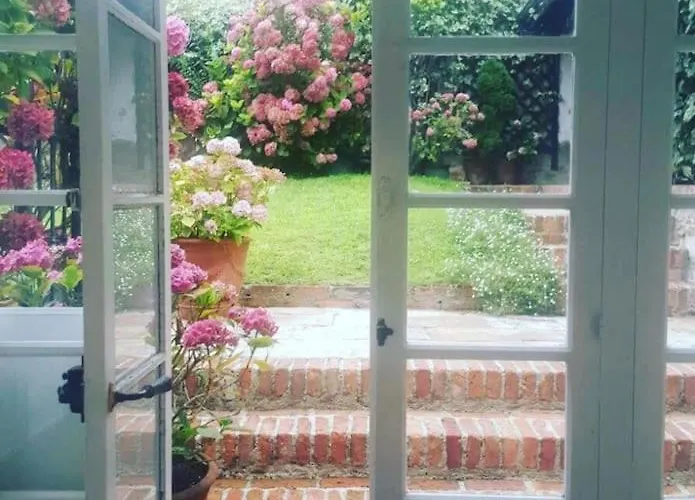 Mima's House - La Casa De Mima *